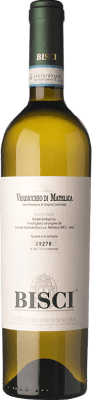 Bisci Verdicchio — Вердиккьо Verdicchio di Matelica 75 cl