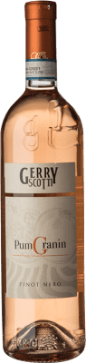 Giorgi Rosé Pumgranin Gerry Scotti Pinot Black Oltrepò Pavese 若い 75 cl