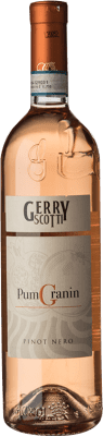 Giorgi Rosé Pumgranin Gerry Scotti 若い