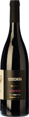 LoHer Cosechero Listán Black Tacoronte-Acentejo 75 cl