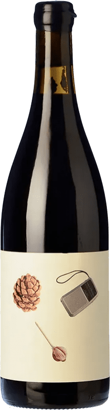 Envio grátis | Vinho Tinto Vins Jordi Esteve Jan Espanha Cariñena — Carignan 75 cl