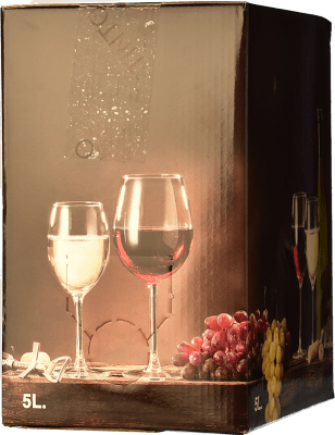 Бесплатная доставка | Красное вино Vegazar D.O. Ribera del Duero Кастилия-Леон Испания Tempranillo — Темпранильо Bag in Box — вино в коробке 5 L