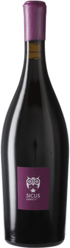 15,95 € | Red wine Sicus Garrut Sassy D.O. Penedès Catalonia Spain Monastrell 75 cl