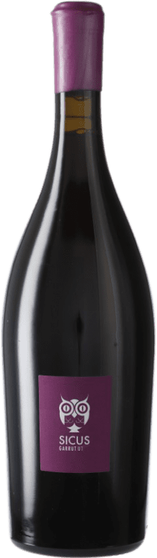 Free Shipping | Red wine Sicus Garrut Sassy D.O. Penedès Catalonia Spain Monastrell Organic 75 cl
