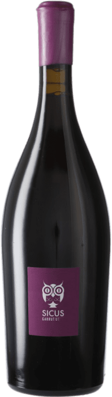 31,95 € Free Shipping | Red wine Sicus Garrut Sassy D.O. Penedès