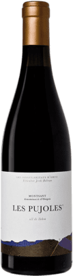 Orto Les Pujoles Crianza — Aged