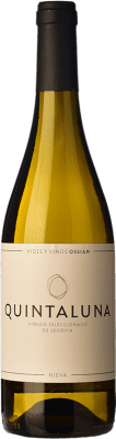 Ossian Quintaluna 1,5 L