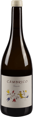 Cámbrico Rufete Granito