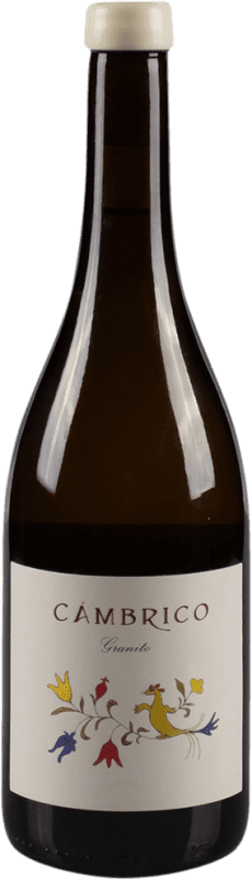 Kostenloser Versand | Rotwein Cámbrico Rufete Granito I.G.P. Vino de la Tierra de Castilla y León Kastilien und León Spanien Tempranillo 75 cl