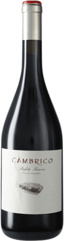 48,95 € 免费送货 | 红酒 Cámbrico Rufete Pizarra I.G.P. Vino de la Tierra de Castilla y León