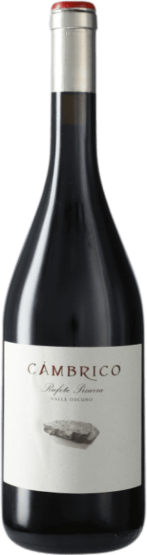 49,95 € | Красное вино Cámbrico Rufete Pizarra I.G.P. Vino de la Tierra de Castilla y León Кастилия-Леон Испания Tempranillo — Темпранильо 75 cl