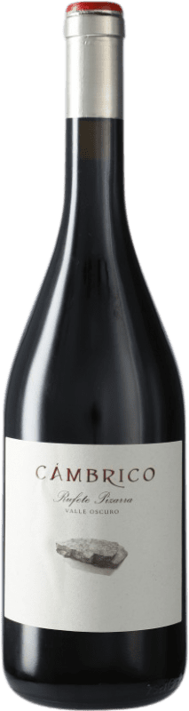 49,95 € | Vin rouge Cámbrico Rufete Pizarra I.G.P. Vino de la Tierra de Castilla y León Castille et Leon Espagne Tempranillo 75 cl