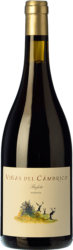 14,95 € | Red wine Cámbrico Viñas del Cámbrico Miranda I.G.P. Vino de la Tierra de Castilla y León Castilla y León Spain Tempranillo, Grenache, Rufete Bottle 75 cl