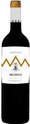 Asenjo & Manso Silvanus Ribera del Duero Crianza — Invecchiato in Botte 75 cl