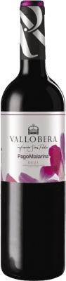 Vallobera Pago Malarina Eiche