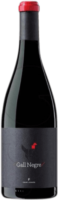 Ferré i Catasús Gall Crianza — Kurze Fassreifung