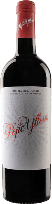 Yllera Pepe Ribera del Duero 橡木 瓶子 Magnum 1,5 L