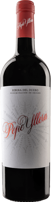 24,95 € Free Shipping | Red wine Yllera Pepe Oak D.O. Ribera del Duero Magnum Bottle 1,5 L