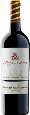 Pago de Cirsus Vendimia Seleccionada Pago Bolandin Vino de Pago Finca Bolandín 75 cl
