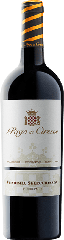 17,95 € Envoi gratuit | Vin rouge Pago de Cirsus Vendimia Seleccionada Pago Bolandin
