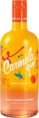 Ginebra Artemi Carmela Guayaba y Mango 70 cl