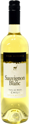 Tinajas del Maule Vila Alegría Sauvignon Branca Valle del Maule 75 cl