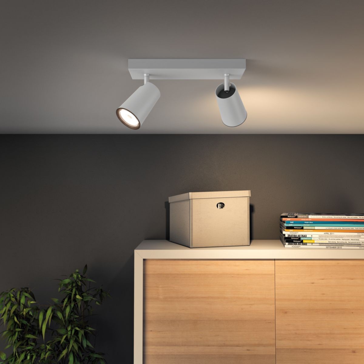 38,95 € Envio grátis | Refletor interno Philips PaisLey 24×12 cm. Foco compacto. Projetor ajustável Cor branco