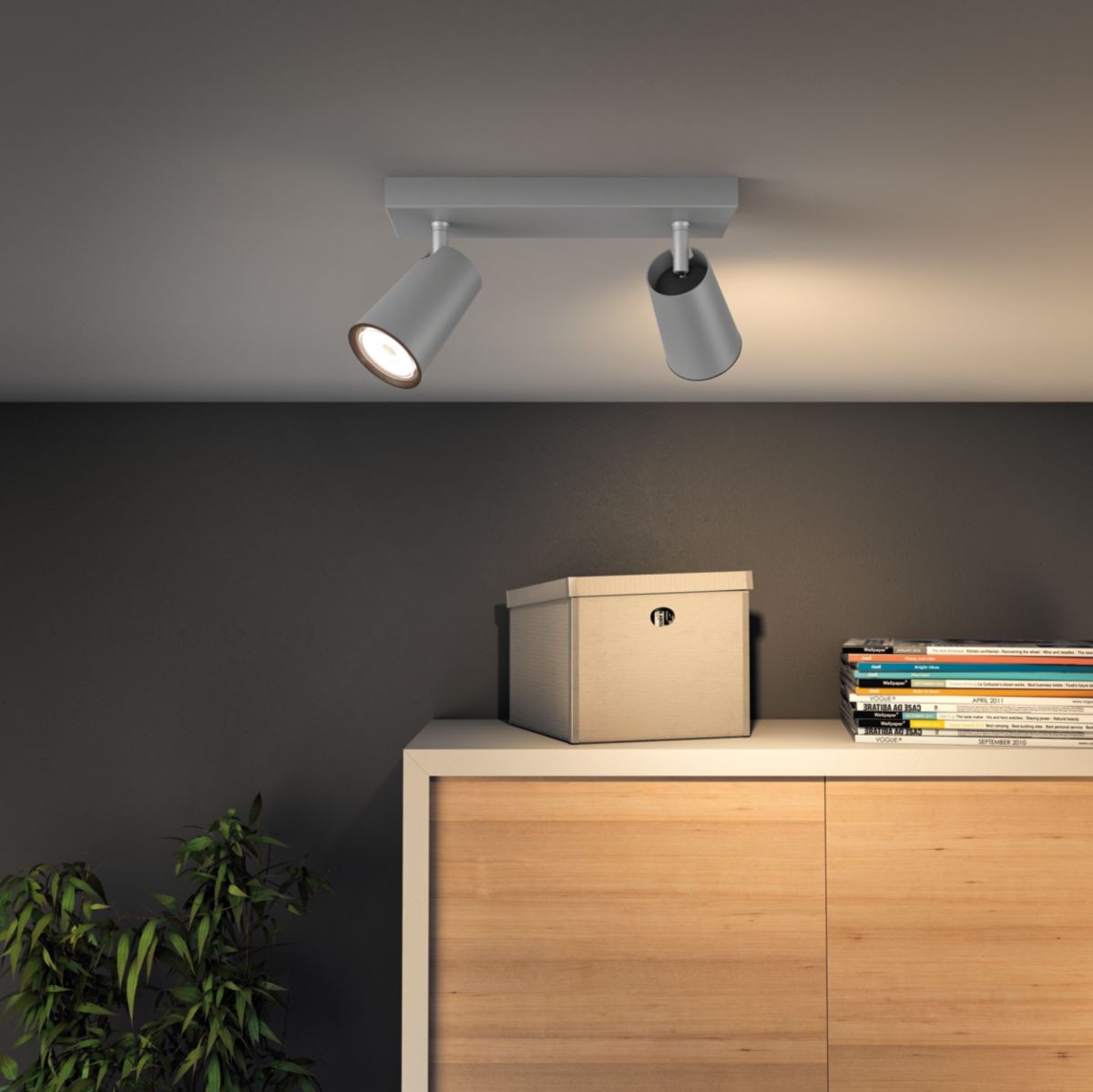 38,95 € Envío gratis | Foco para interior Philips PaisLey 24×12 cm. Foco compacto. Proyector orientable Aluminio