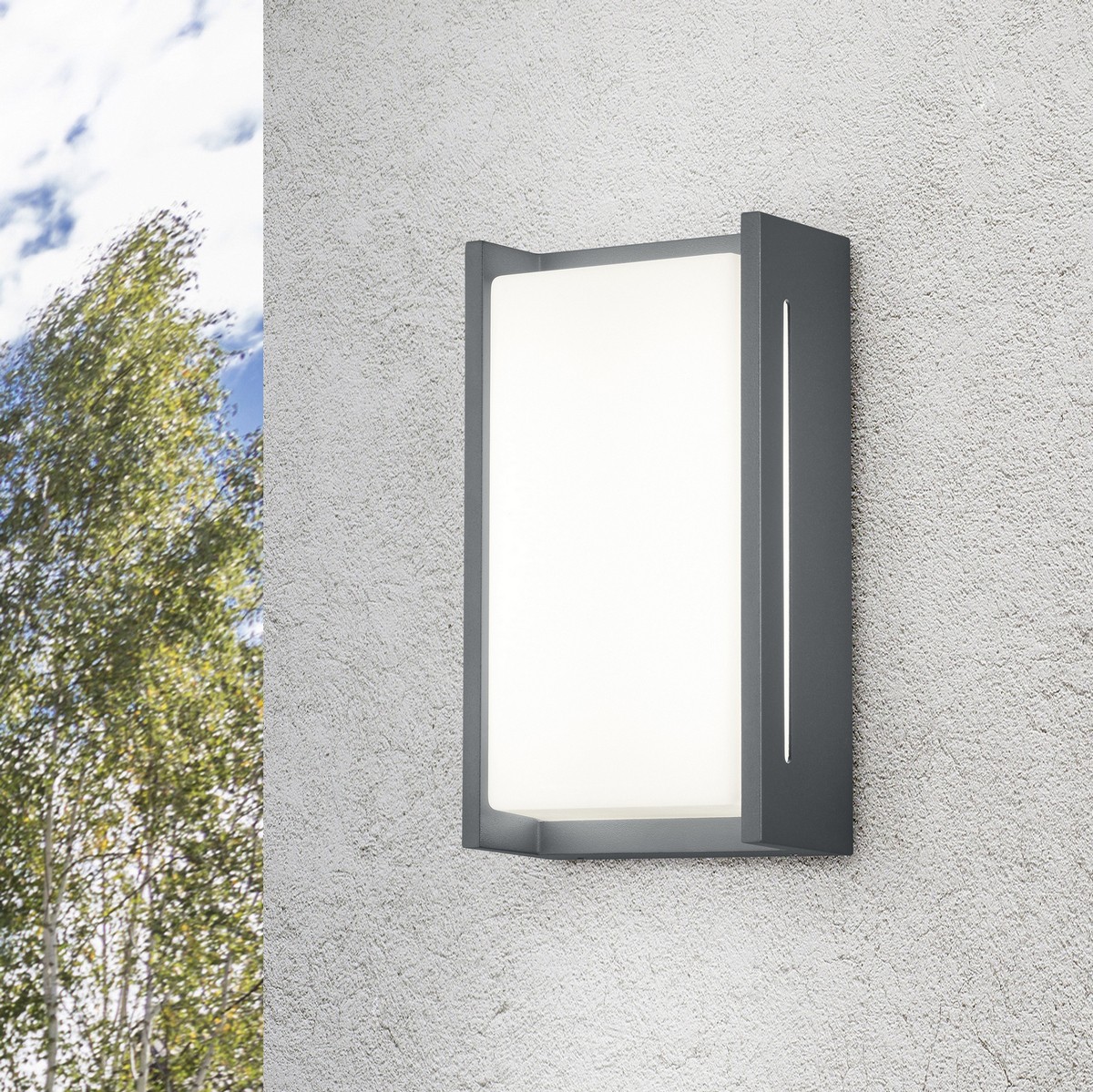 62,95 € Free Shipping | Outdoor wall light Trio Indus 8.5W 3000K Warm light. 23×13 cm. Integrated LED Cast aluminum. Anthracite Color