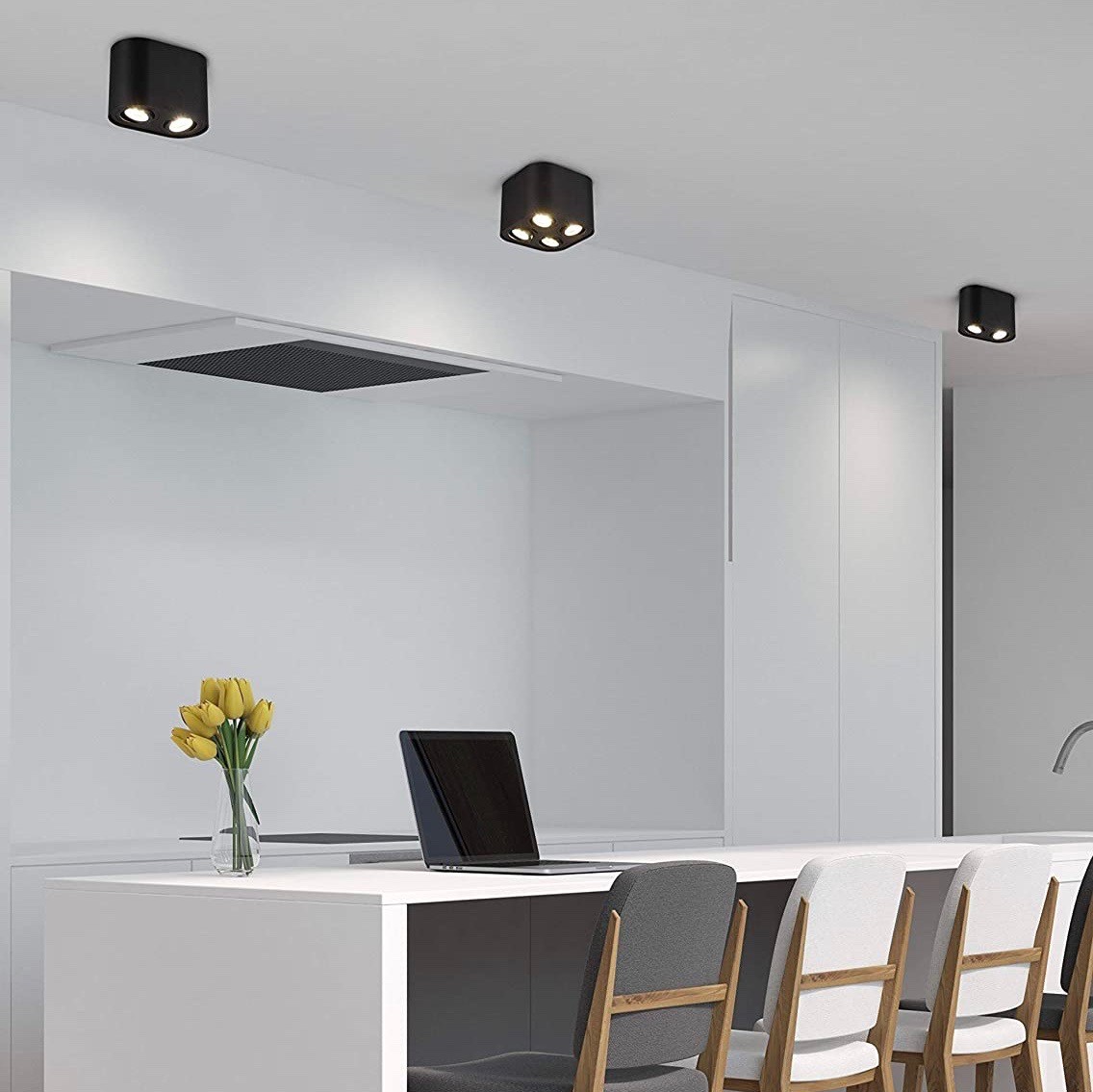 77,95 € Envio grátis | Refletor interno Trio 35W 18×13 cm. Foco ajustável duplo Metais. Cor preto